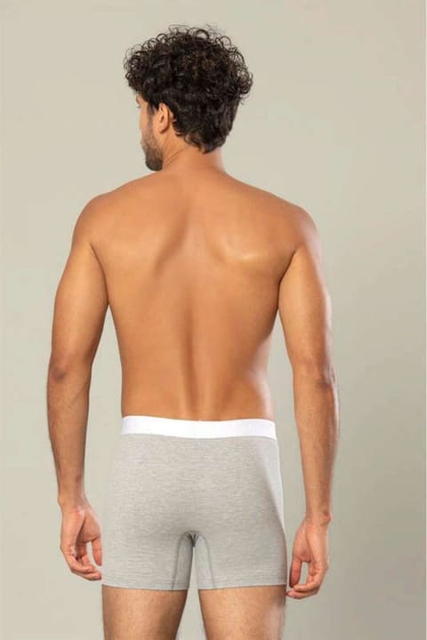 Pamuk Elastan Uzun Boxer Erdem 1417 - Gri