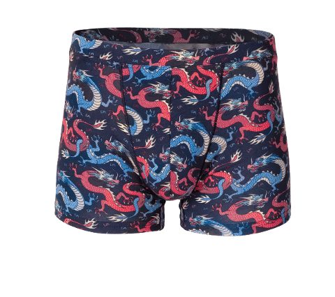 Pamuklu Esnek Bel Lastiği Renkli Ejderha Desenli Boxer Doreanse 1857