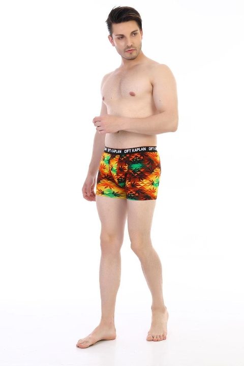 Renkli Yaprak Desenli Pamuklu Erkek Boxer Çift Kaplan 796 - Görsel