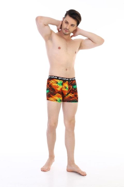 Renkli Yaprak Desenli Pamuklu Erkek Boxer Çift Kaplan 796 - Görsel