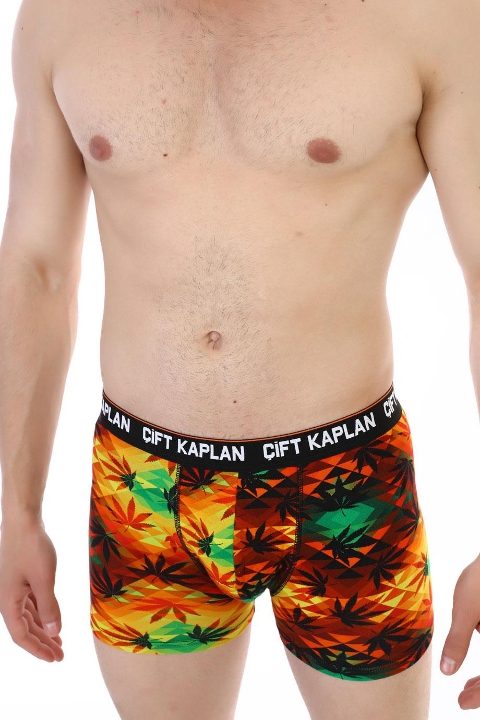 Renkli Yaprak Desenli Pamuklu Erkek Boxer Çift Kaplan 796