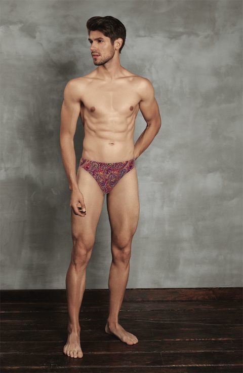 Pamuklu Şahmeran Desenli Erkek Slip Doreanse 1007