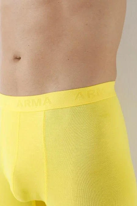 Pamuklu Sarı Erkek Bambu Boxer 3'lü Paket Arma Yıldız 1172 - Sarı