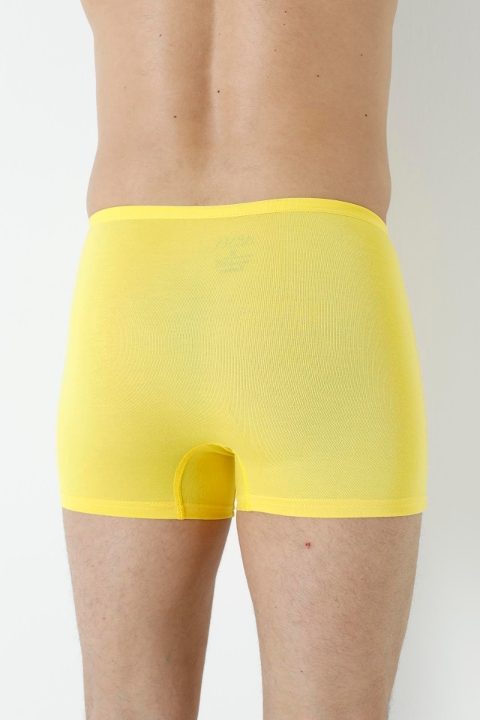 Bambu Kumaş İnce Bel Lastikli Boxer Arma Yıldız 1190 - Sarı