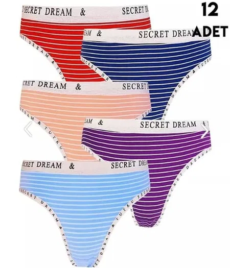 Yüksek Bel Destekli Bikini Külot Mor Tutku 0563 - Karışık Renk
