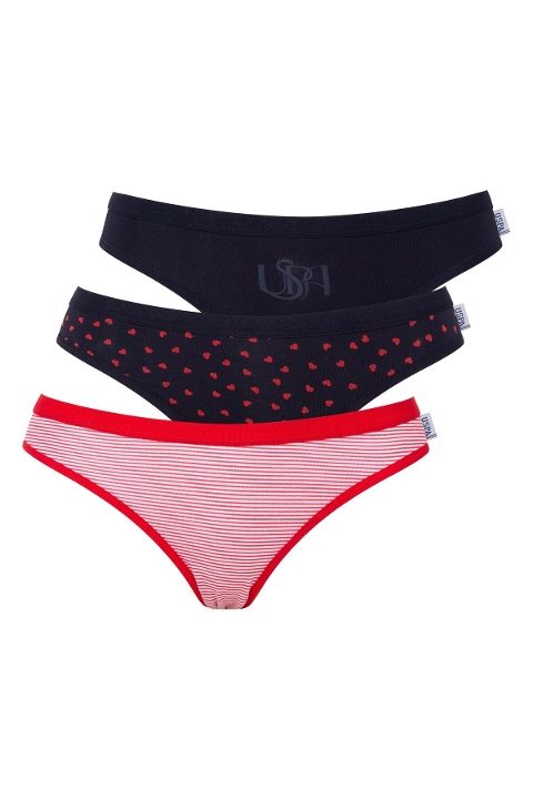 Pamuklu 3'lü Slip Külot Seti Us. POLO Assn. 66425