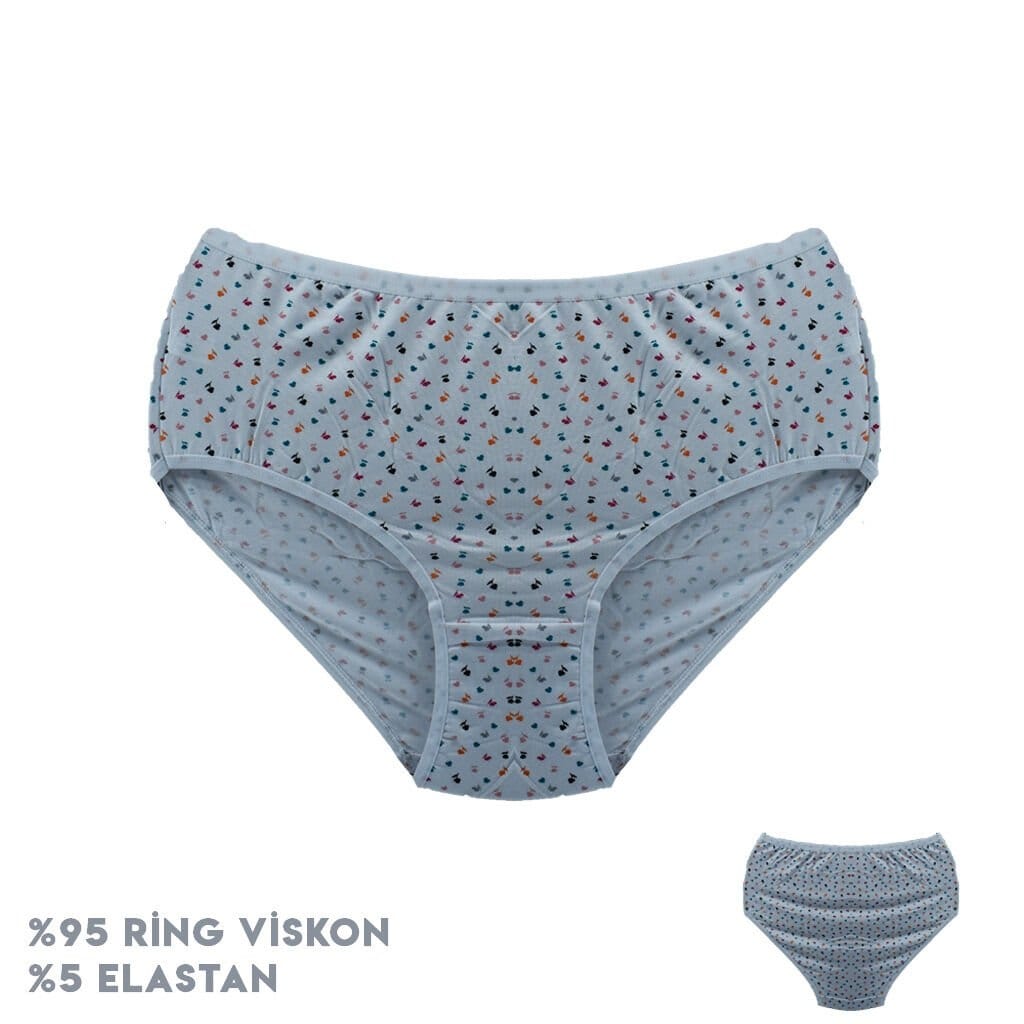 Karın Desteği Yüksek Bel Bikini Külot Dondeza 664 - Görsel