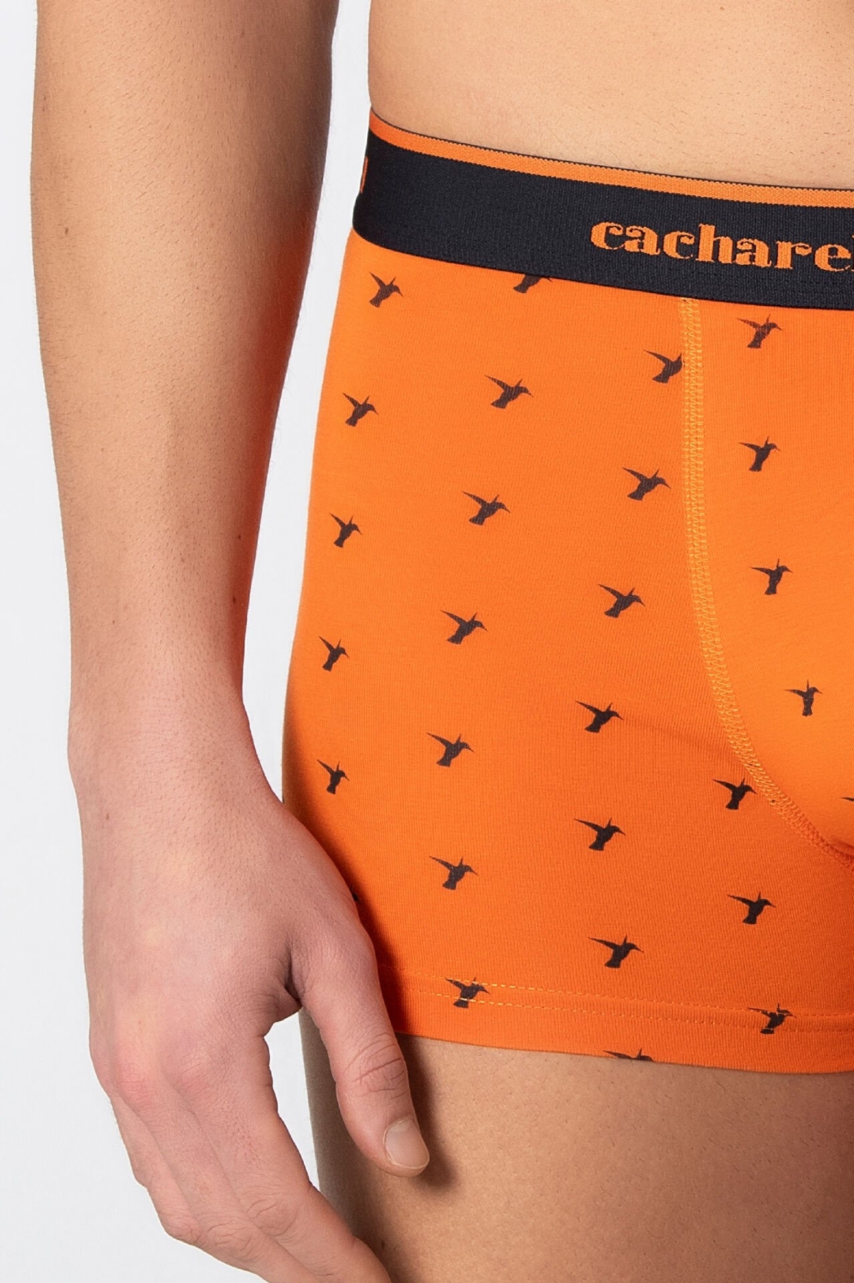 Cacharel Desenli Pamuklu Likralı Erkek Boxer Cacharel 1339 - Görsel 3