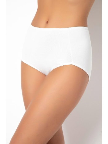 Yüksek Bel Destekli Kadın Külot Somon G-Box 913