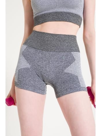 Dikişsiz Yüksek Bel Toparlayıcı Spor Şort FormActive 1725