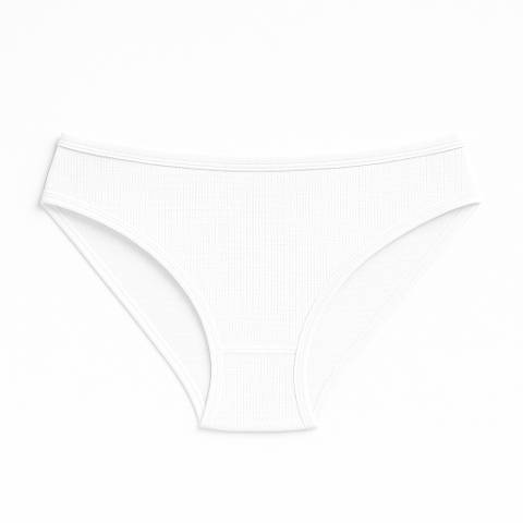 Yüksek Bel Fitilli Kadın Külot Anı 1 - 2