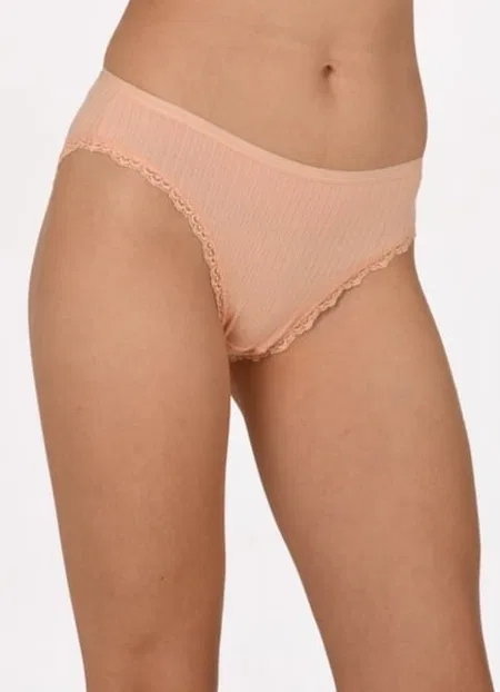 Yüksek Bel Destekli Kadın Bikini Külot Mor Anıt 3890 - Asorti