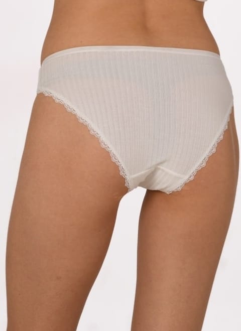 Yüksek Bel Destekli Kadın Bikini Külot Mor Anıt 3890 - Asorti