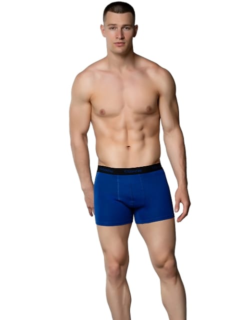 Bel Lastikli Likralı Pamuklu Erkek Boxer 3074 Gümüş 3074 - Mavi