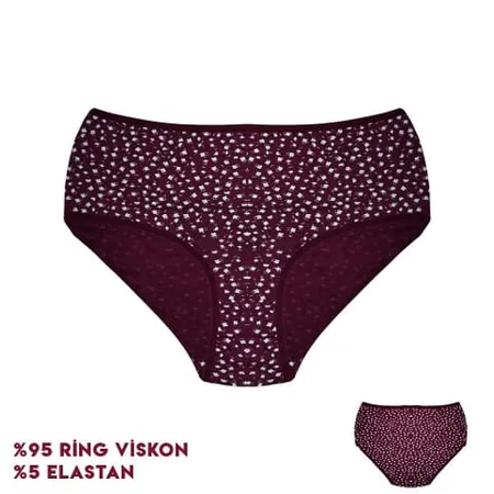 Bordo Desenli Yüksek Bel Bikini Külot Dondeza 664