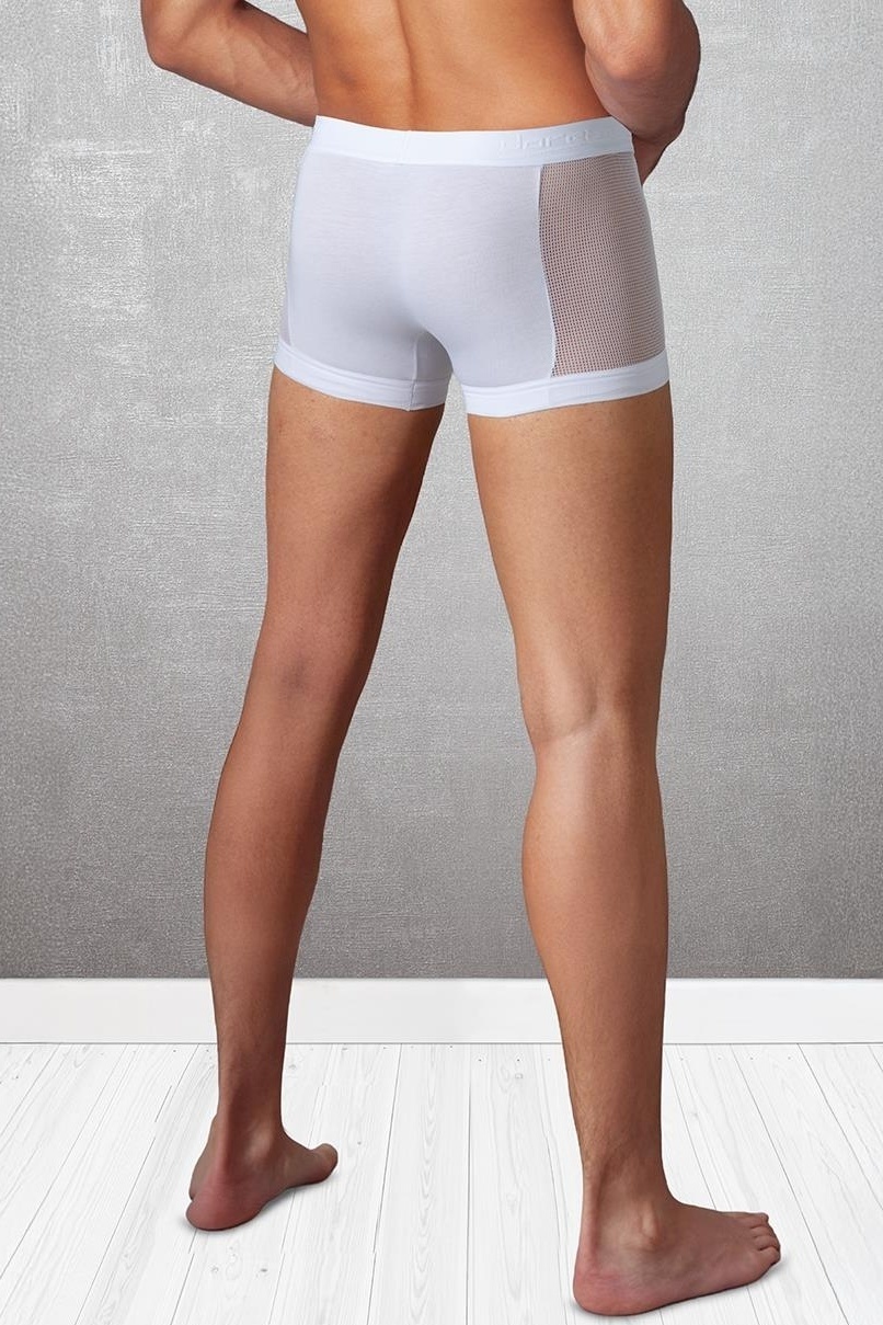 Doreanse Fileli Büyük Beden Modal Erkek Boxer Doreanse 1761 - Görsel 2