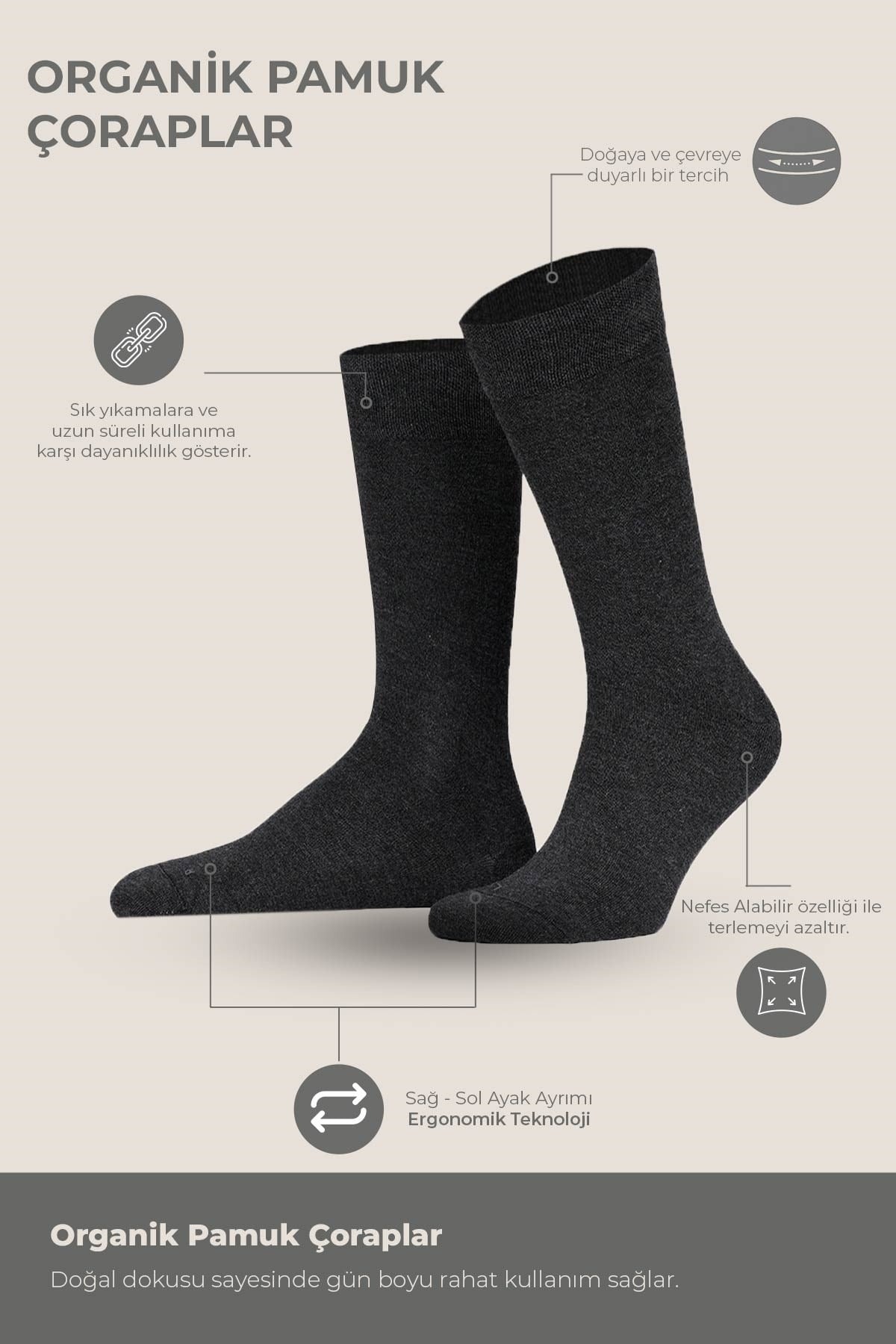 Erkek Dört Mevsim Organik Dörtlü Soket Çorap Mısırlı ESKT000129 - Antrasit