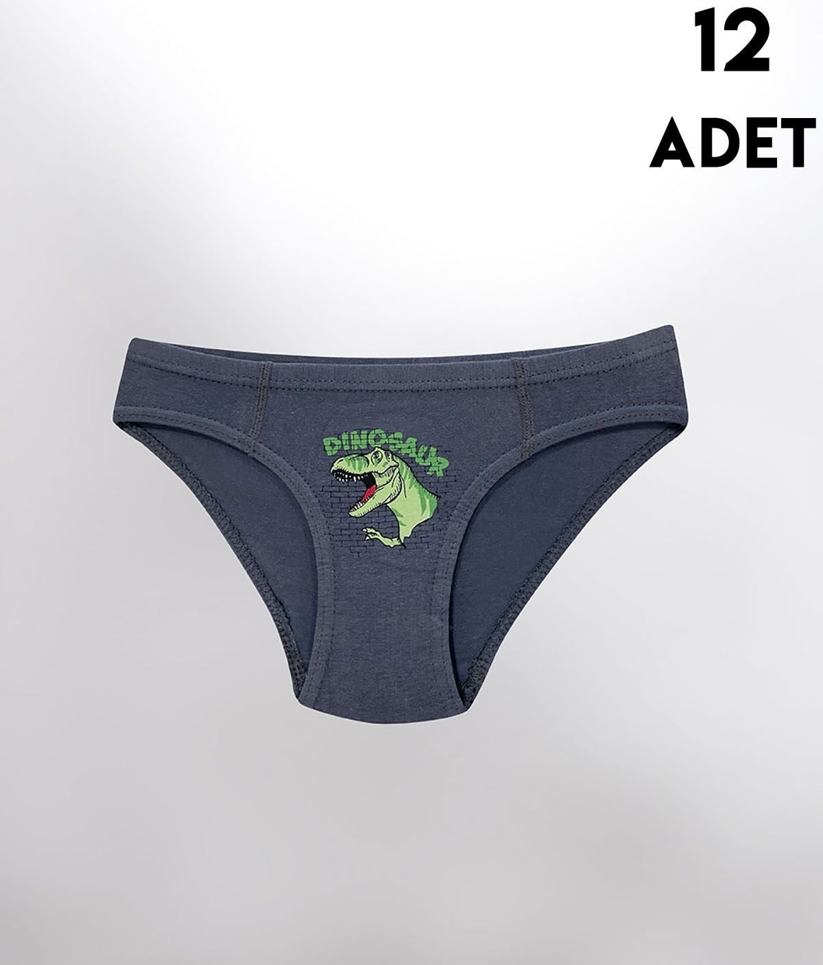 Parça Baskılı Penye Erkek Çocuk Slip Külot 12'li Kota 1019 - Asorti