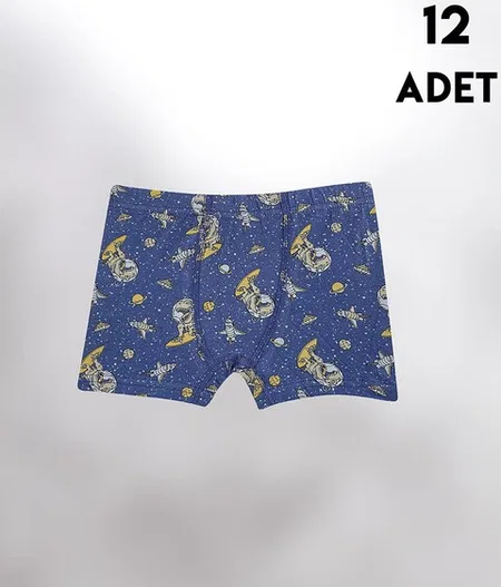 Desen Baskılı Penye Erkek Çocuk Boxer 12'li Kota 1013 - Asorti