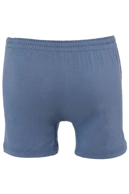 Erkek Çocuk %100 Pamuklu Süprem Penye Premium Kumaş Birinci Sınıf A Kalite Boxer Şort Özkan 31223 - Mavi