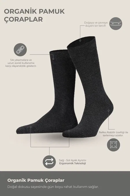 Erkek Dört Mevsim Organik Dörtlü Soket Çorap Mısırlı ESKT000129 - Antrasit
