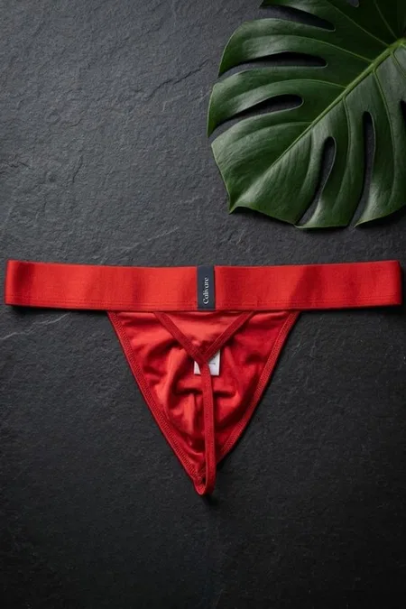 Erkek Geniş Lastikli Fantezi Kırmızı Pamuklu Tanga String Darkzone DZ-1202-06-S - Görsel
