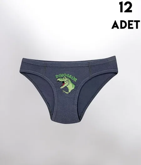 Parça Baskılı Penye Erkek Çocuk Slip Külot 12'li Kota 1019 - Asorti